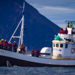 Husavik whale watching