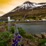 Picturesque town of Seyðisfjörður in East Iceland