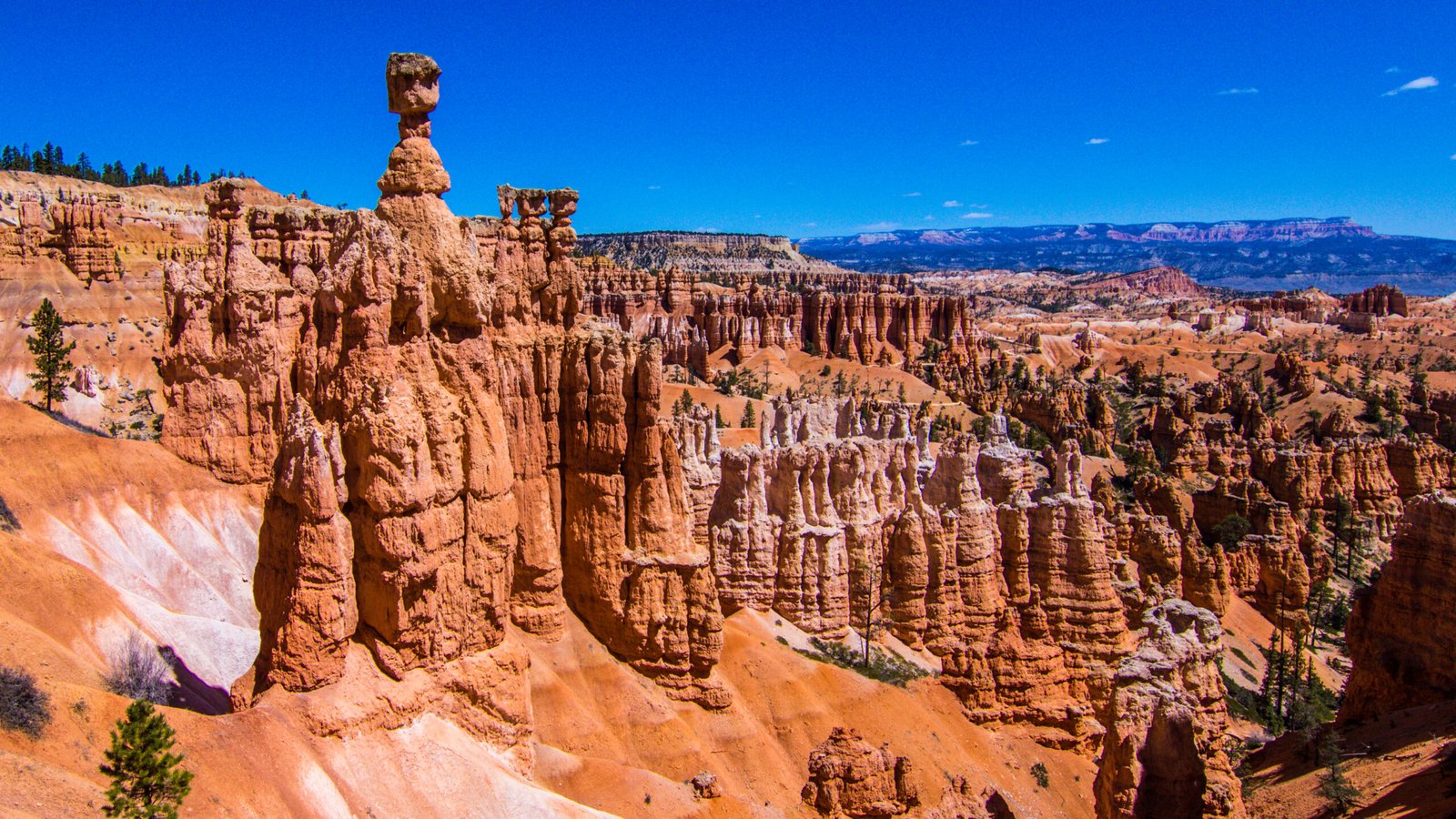Towering orange and pink sandstone hoodoos rise from the canyon floor, viewed from a trail lookout point at Bryce Canyon National Park, Utah.