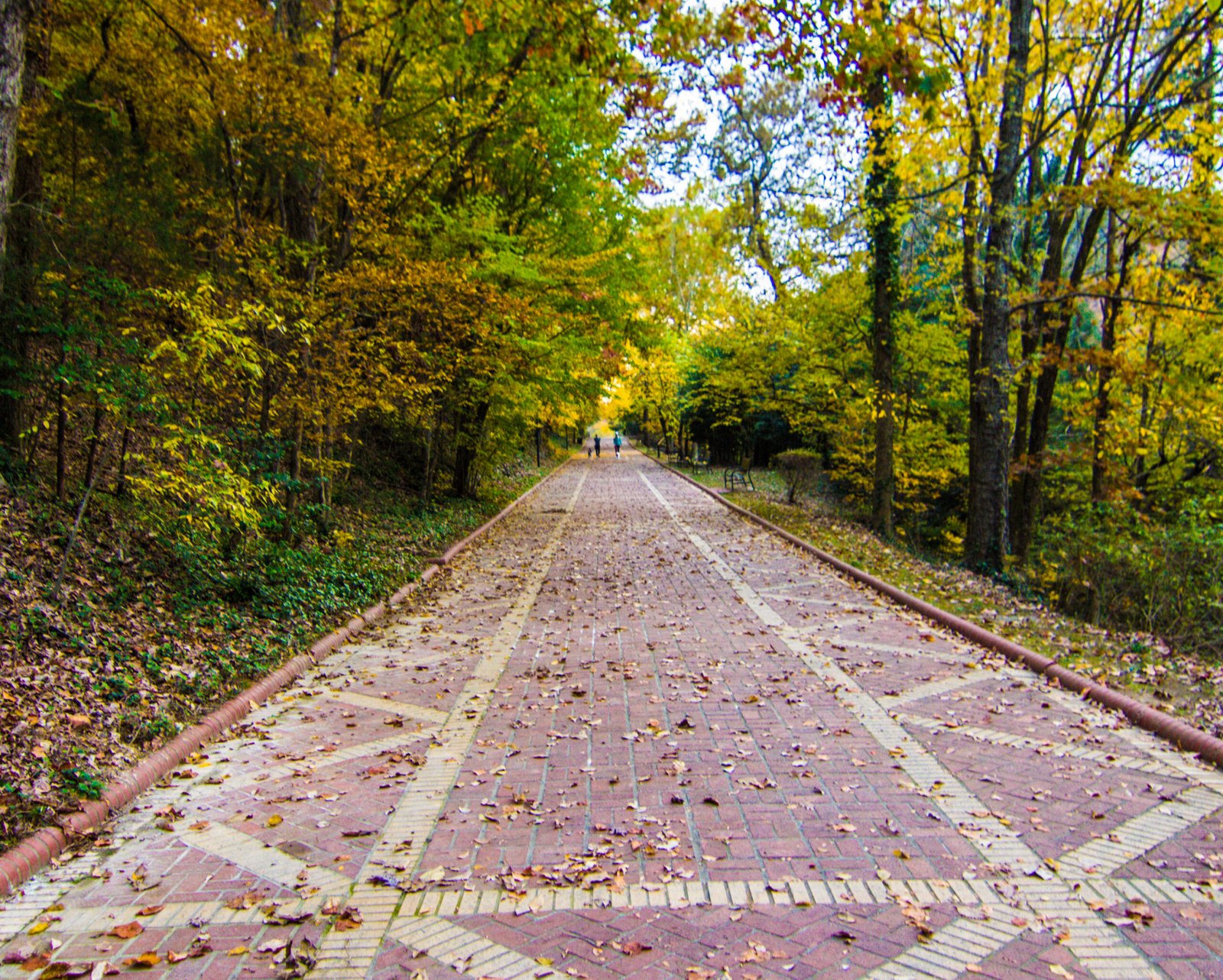 Hot Spring National Park walkway
