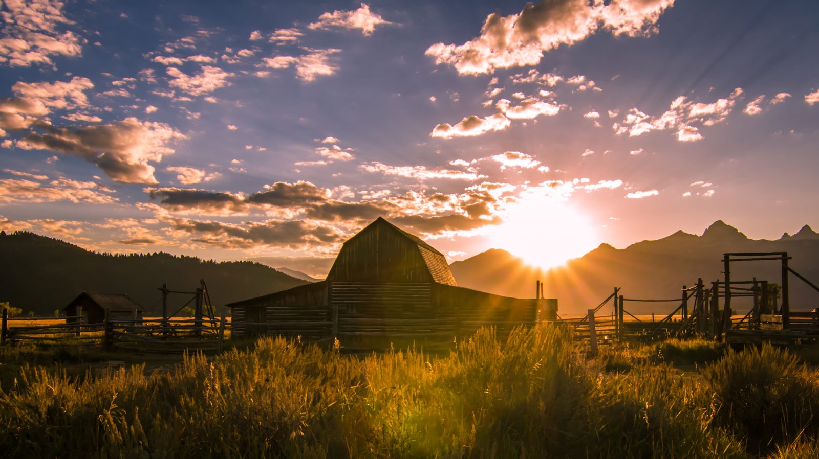 Golden hour at Mormon Row