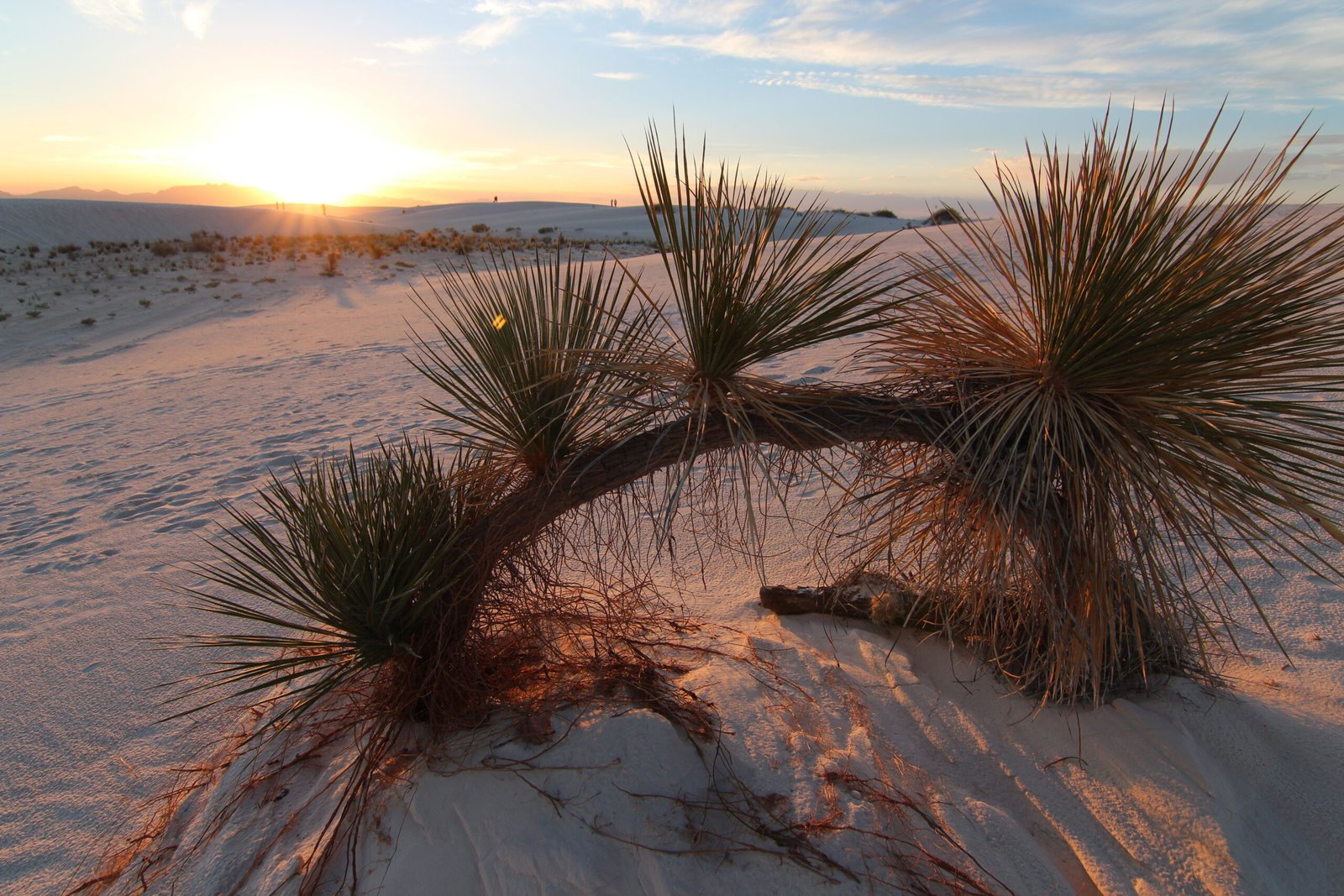 Golden hour at White Sands National Park
