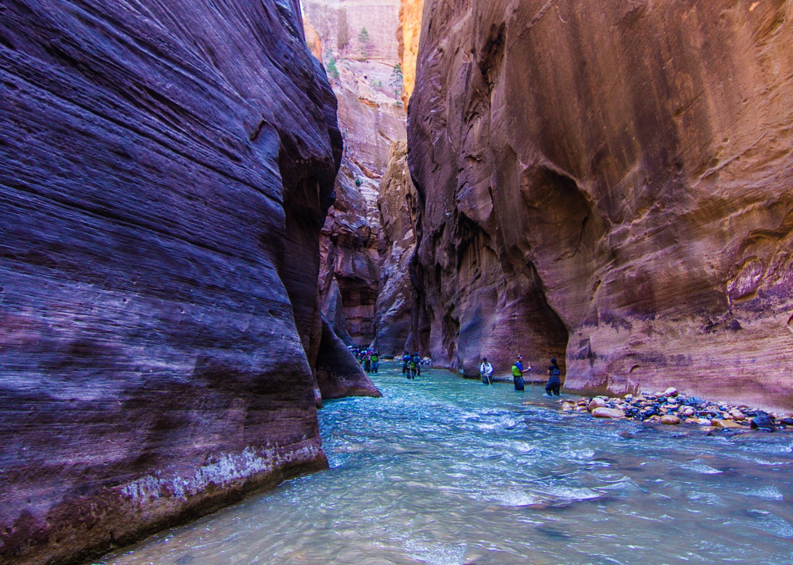 Hikers wade through the shallow river of The Narrows as towering, sheer orange and purple sandstone canyon walls rise dramatically on both sides at Zion National Park, Utah