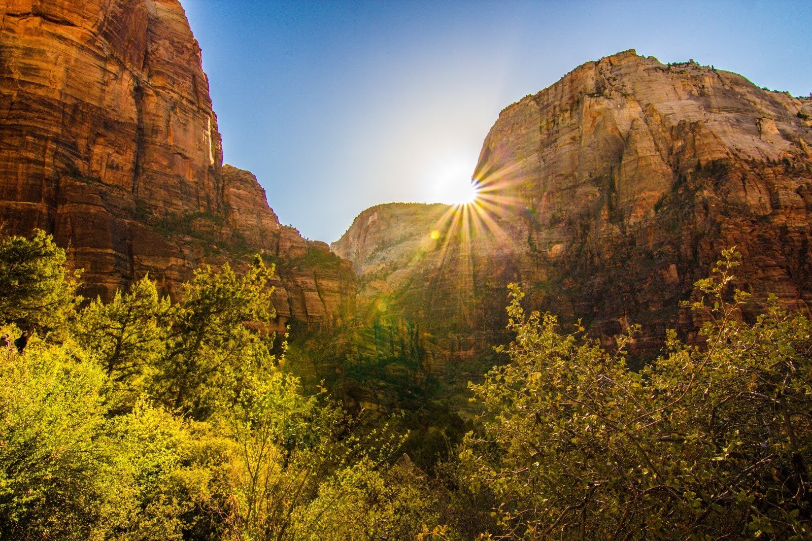 Golden hour in Zion National Park