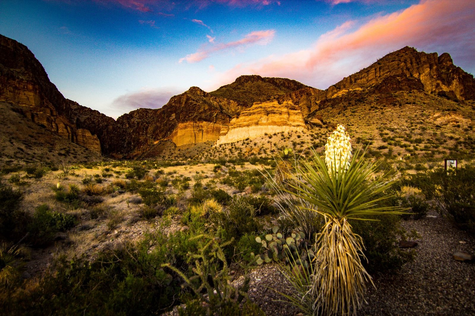 Golden hour at Big Bend