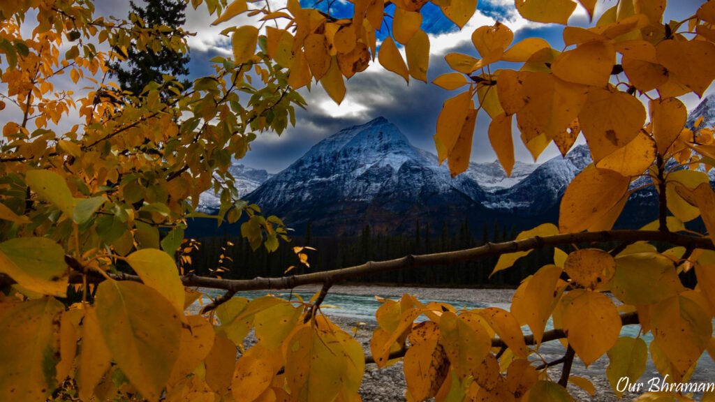 Jasper National Park 6m21722