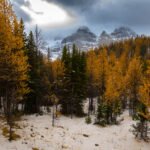 Banff 6m21843