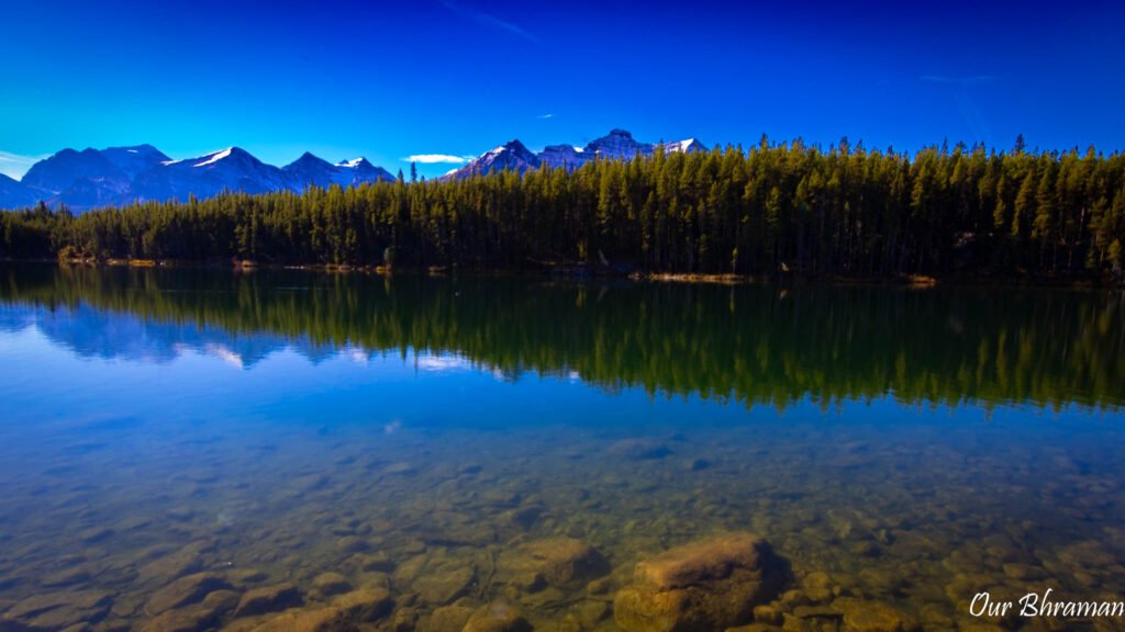 Jasper National Park 6m21937