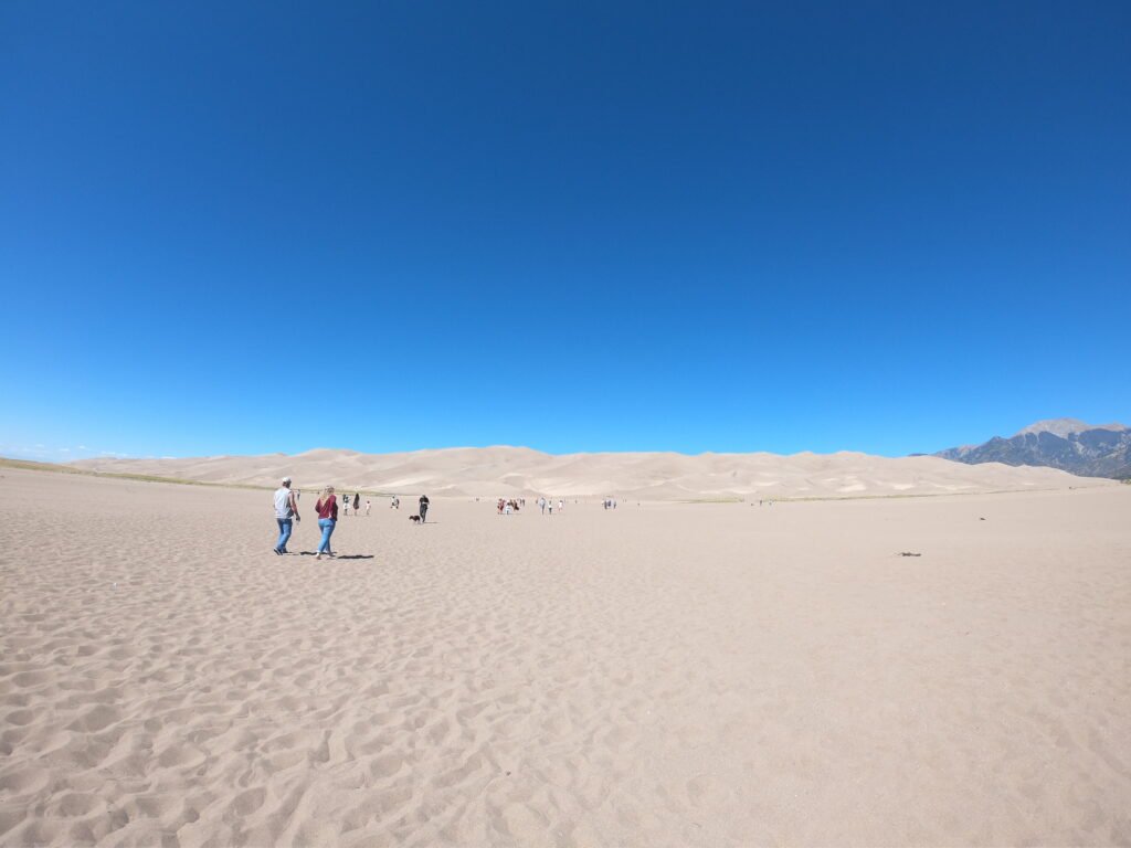 dcim100goprogopr3443.jpg