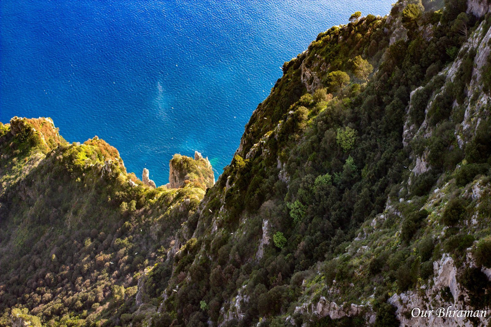 view_from_top