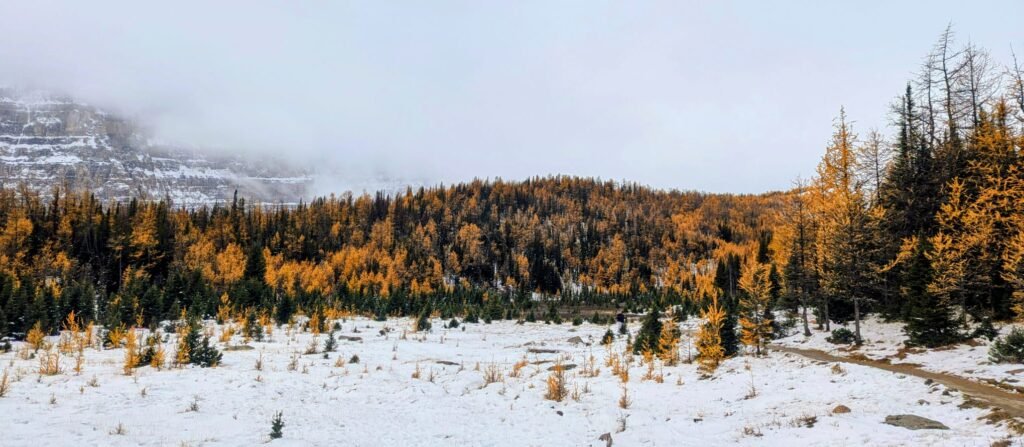 Banff Travel Tips larch valley trail 1