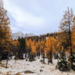 larch valley trail 4