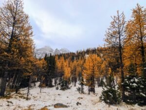 Banff National Park larch valley trail 4