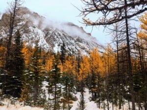 Banff National Park larch valley trail 7