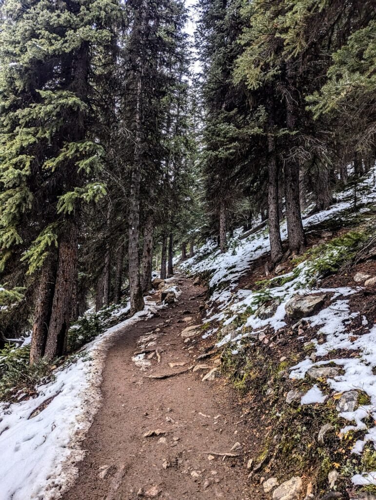 Larch Valley Trail larch valley hike 2