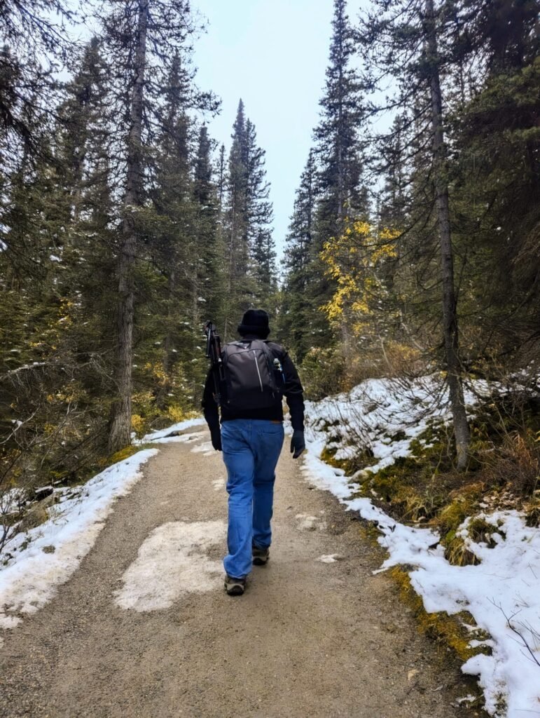 Larch Valley Trail larch valley hike1