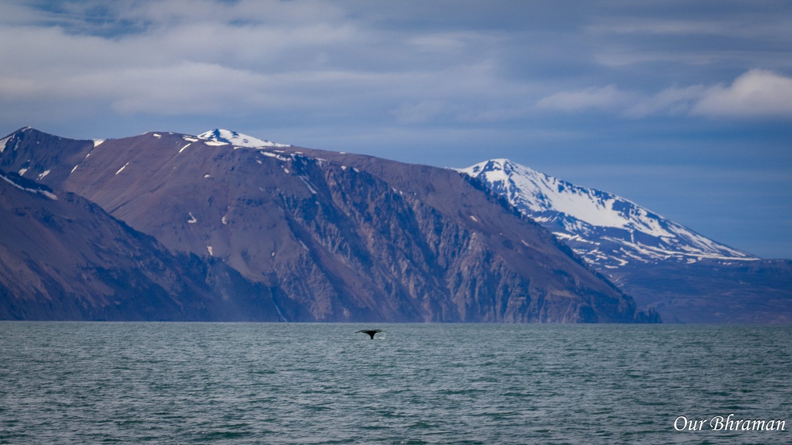 Whale_watching_mountain