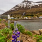 Iceland r6m23454