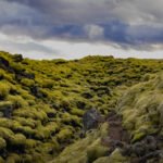 Iceland Skaftáreldahraun Lava Field