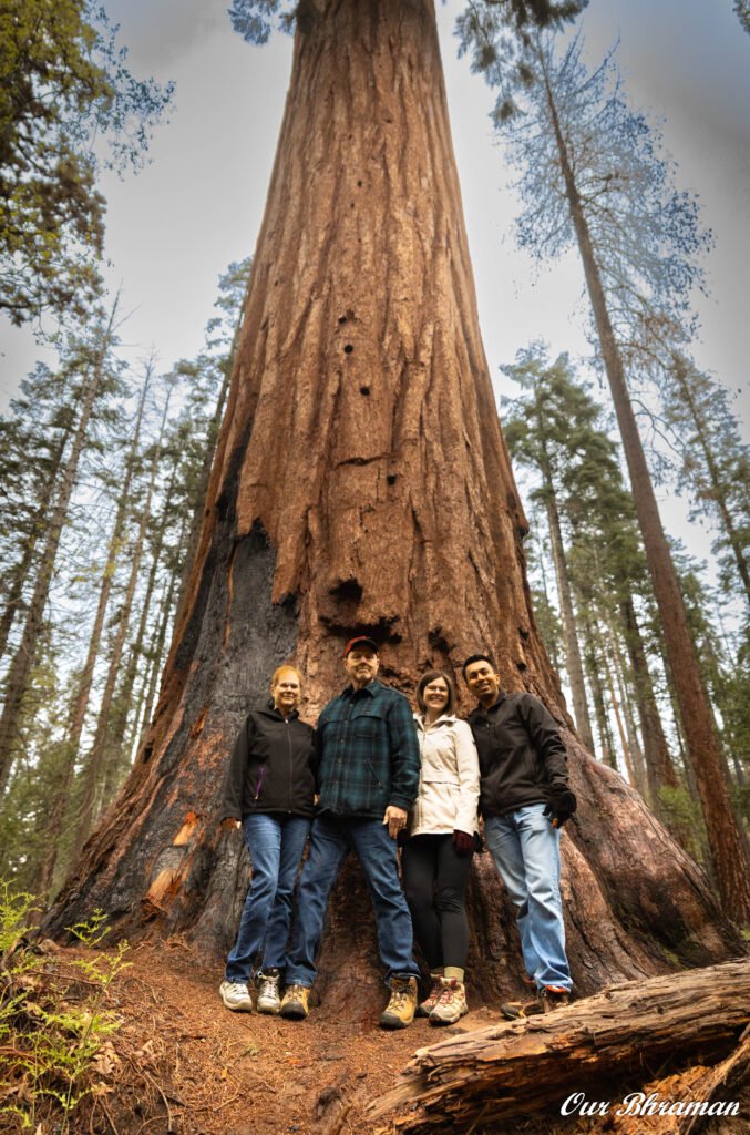 Sequoia National Park 6m27712
