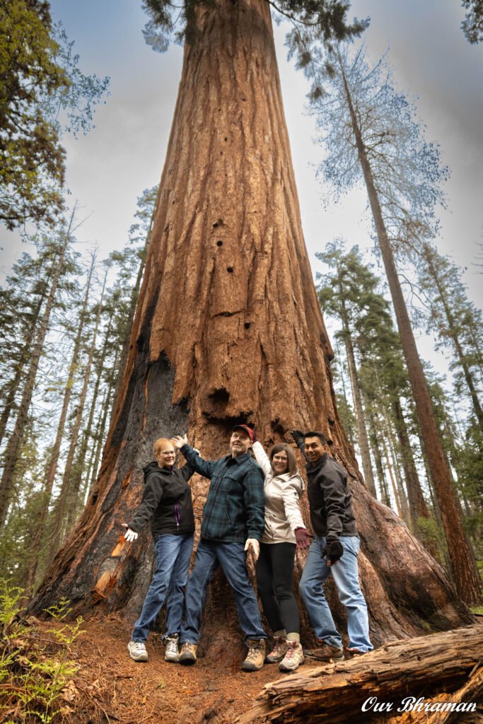 Sequoia National Park 6m27713