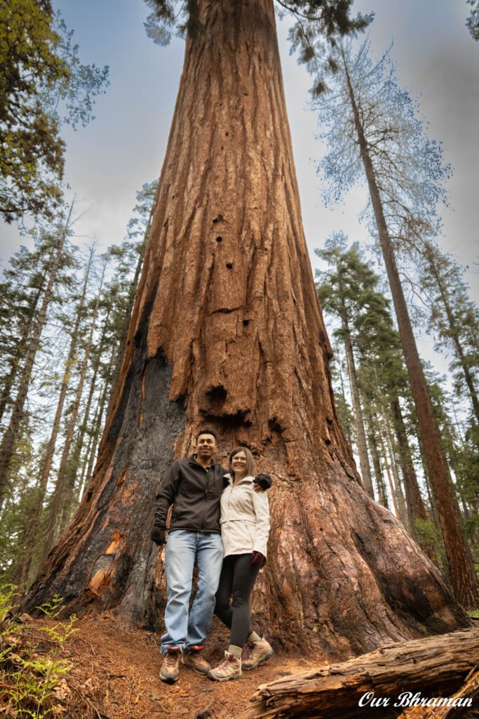 Sequoia National Park 6m27714