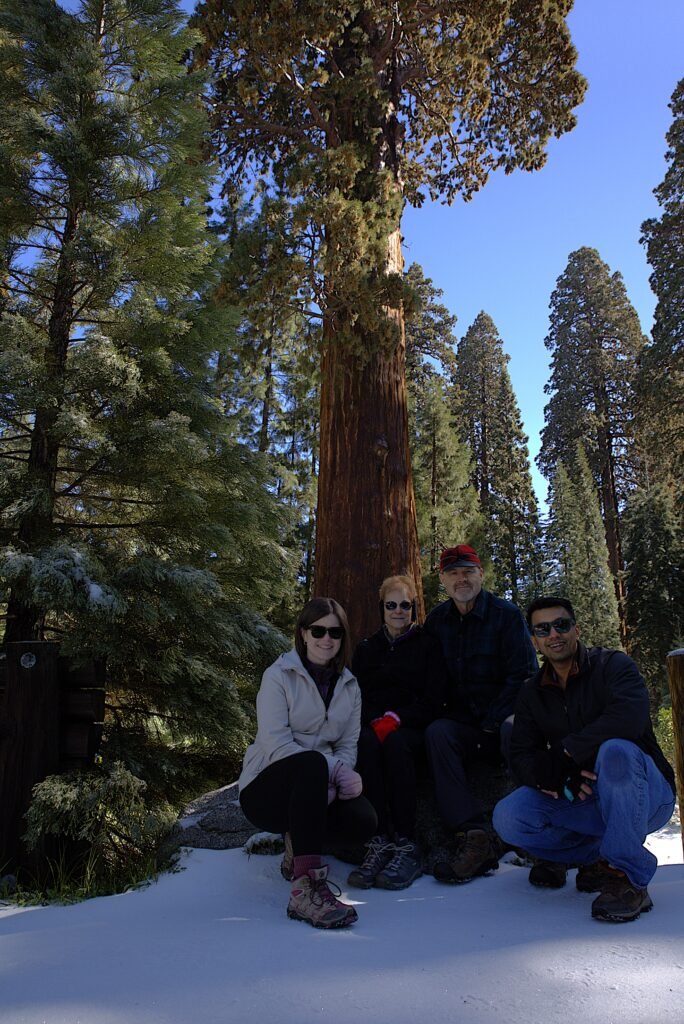 Sequoia National Park 6m27772