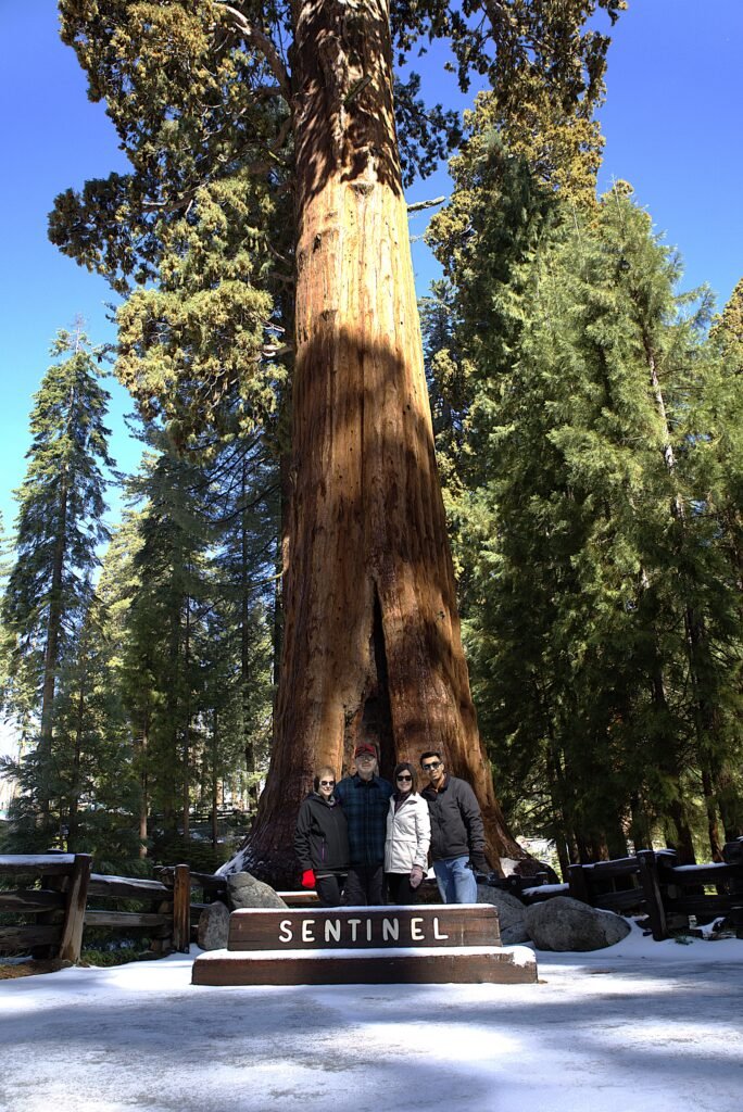 Sequoia National Park 6m27774