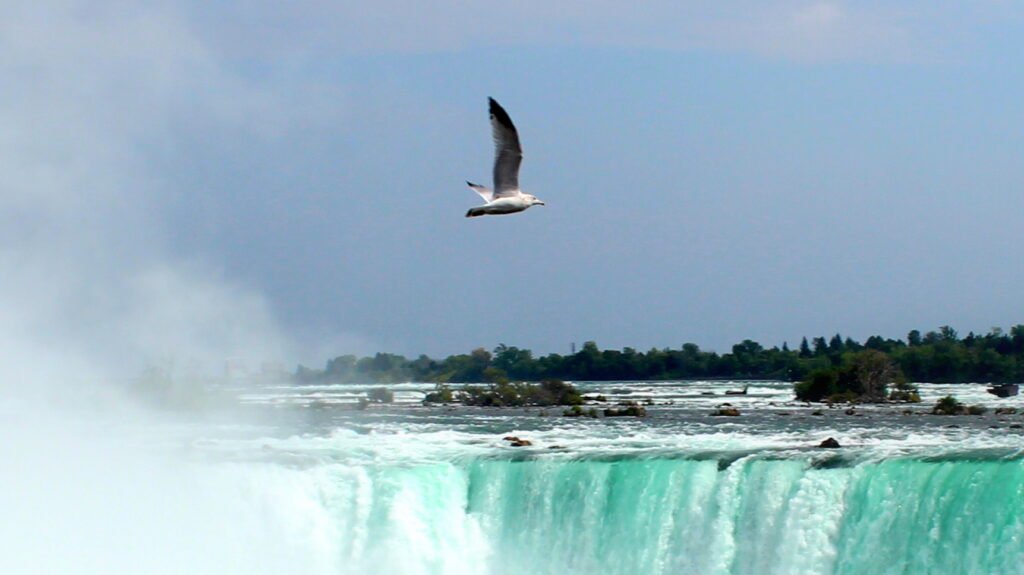 Niagara Falls img 1585