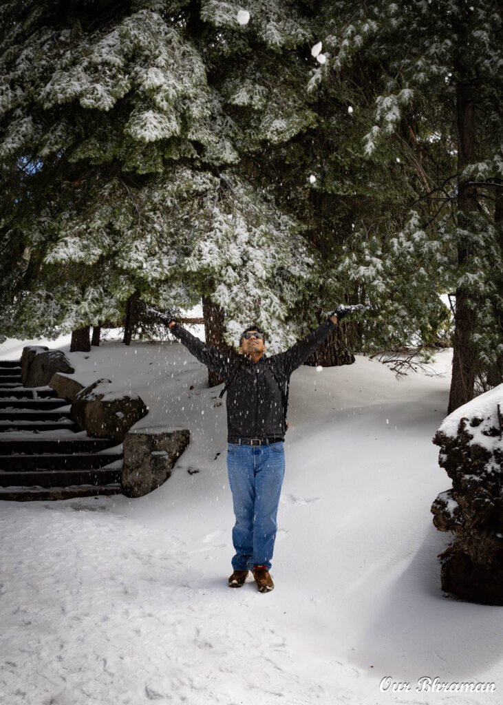Sequoia National Park r6m27784