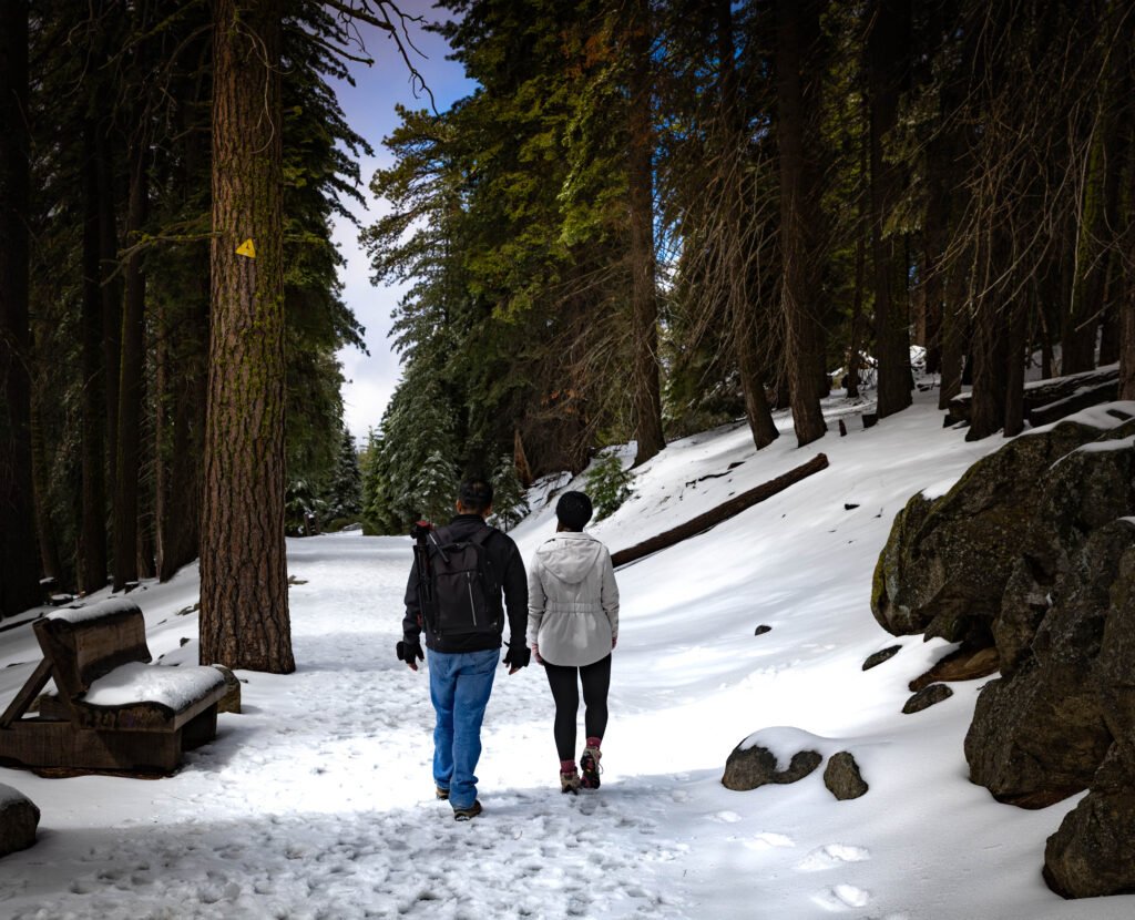 Sequoia National Park r6m27793