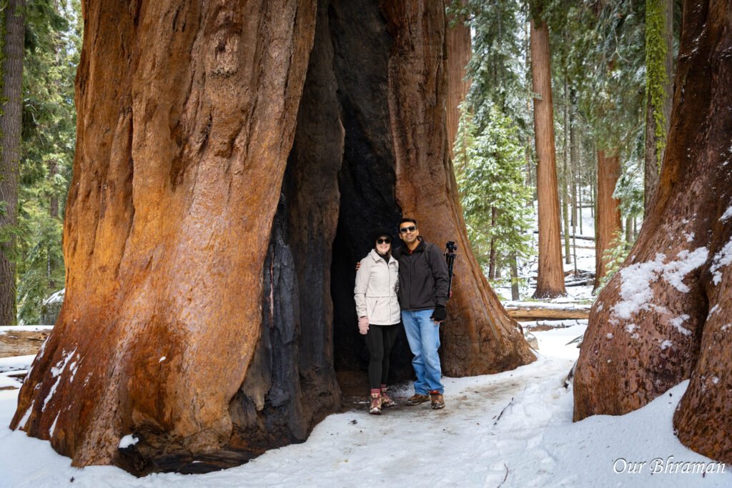 Sequoia National Park r6m27809