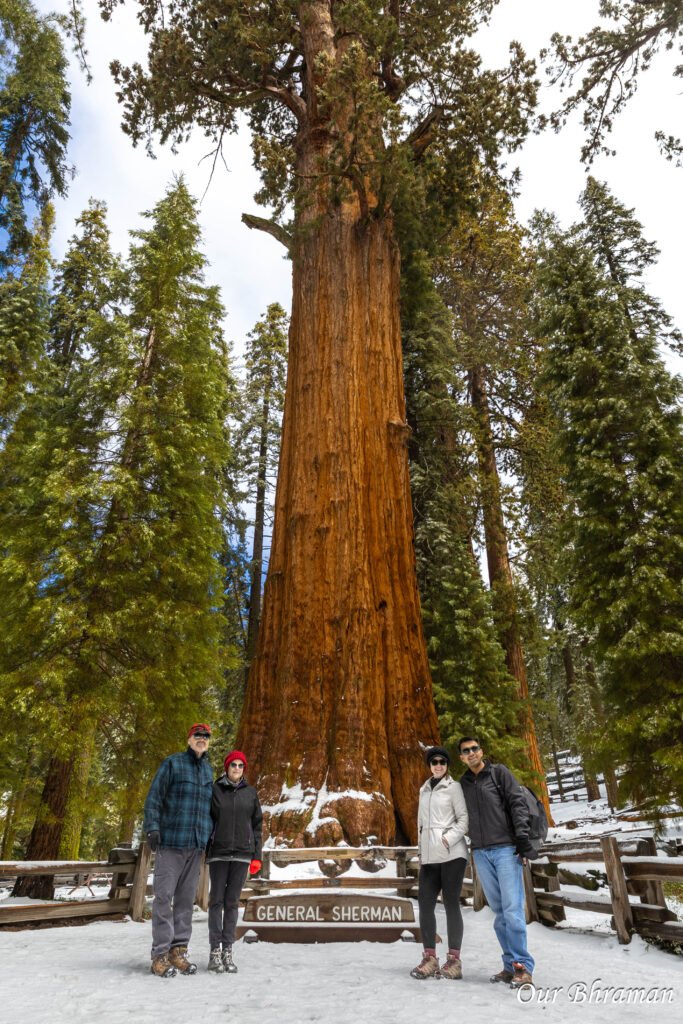 Sequoia National Park r6m27821