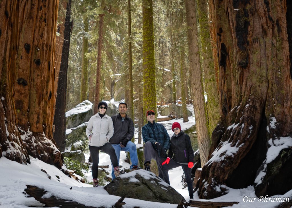 Sequoia National Park r6m27843