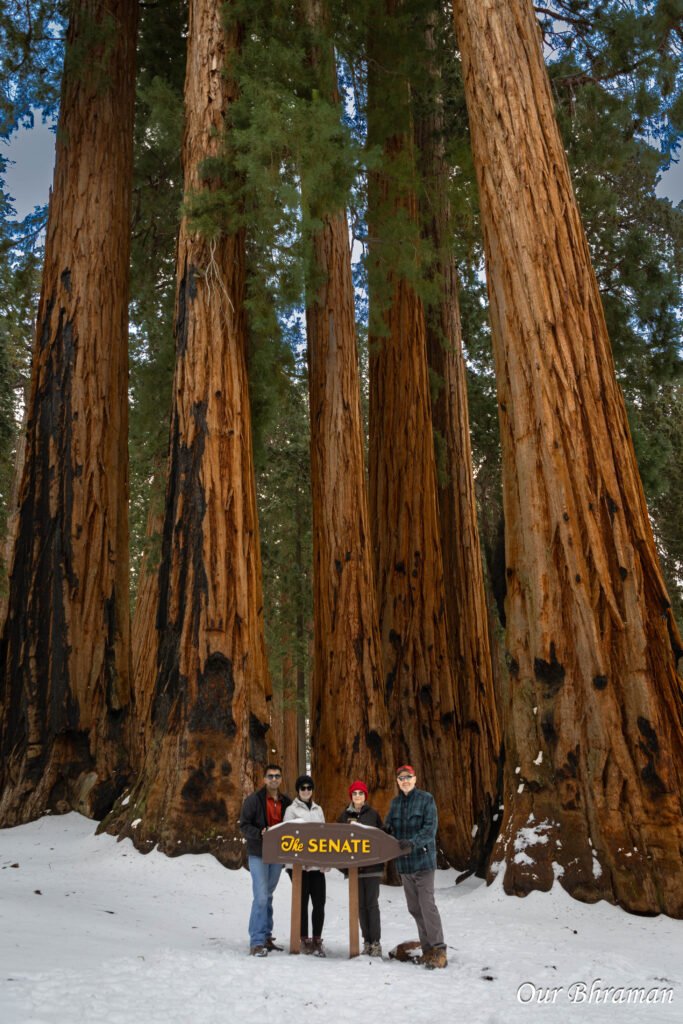 Sequoia National Park r6m27890 2