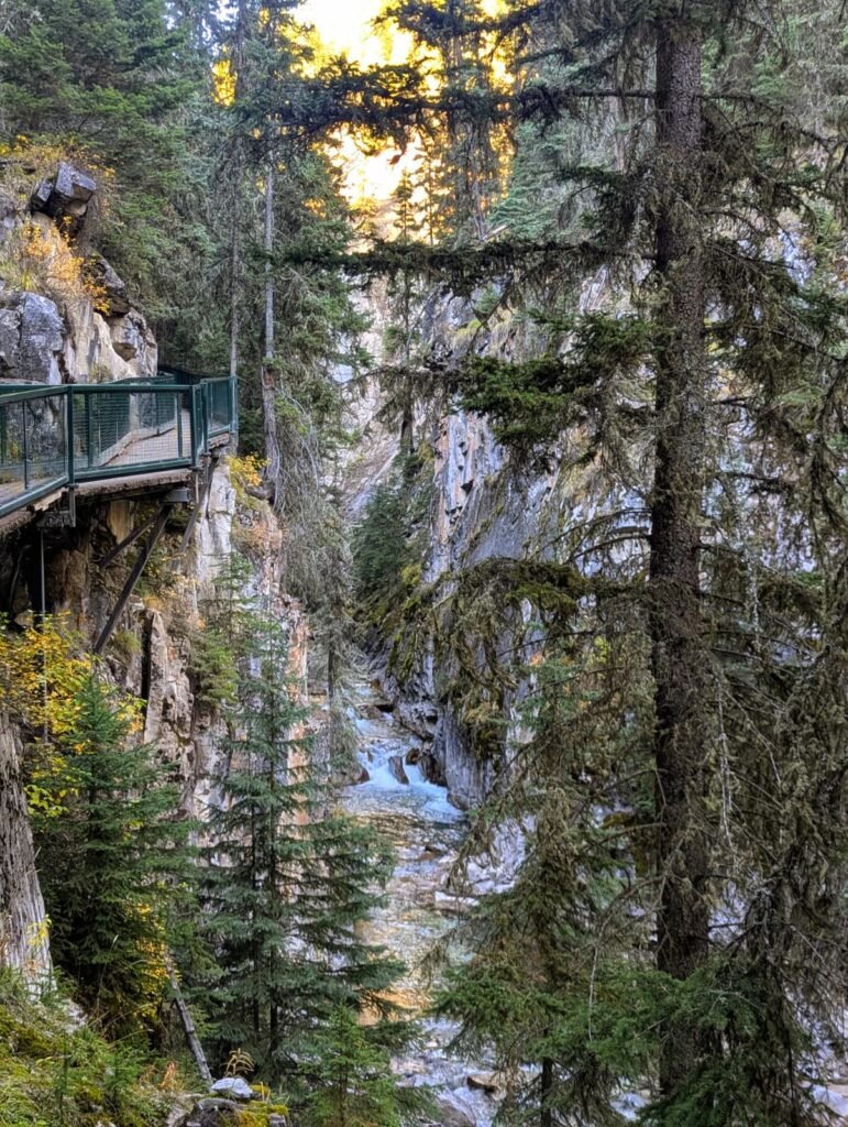 Johnston Canyon whatsapp image 2026 09 06 at 12.48.47 pm