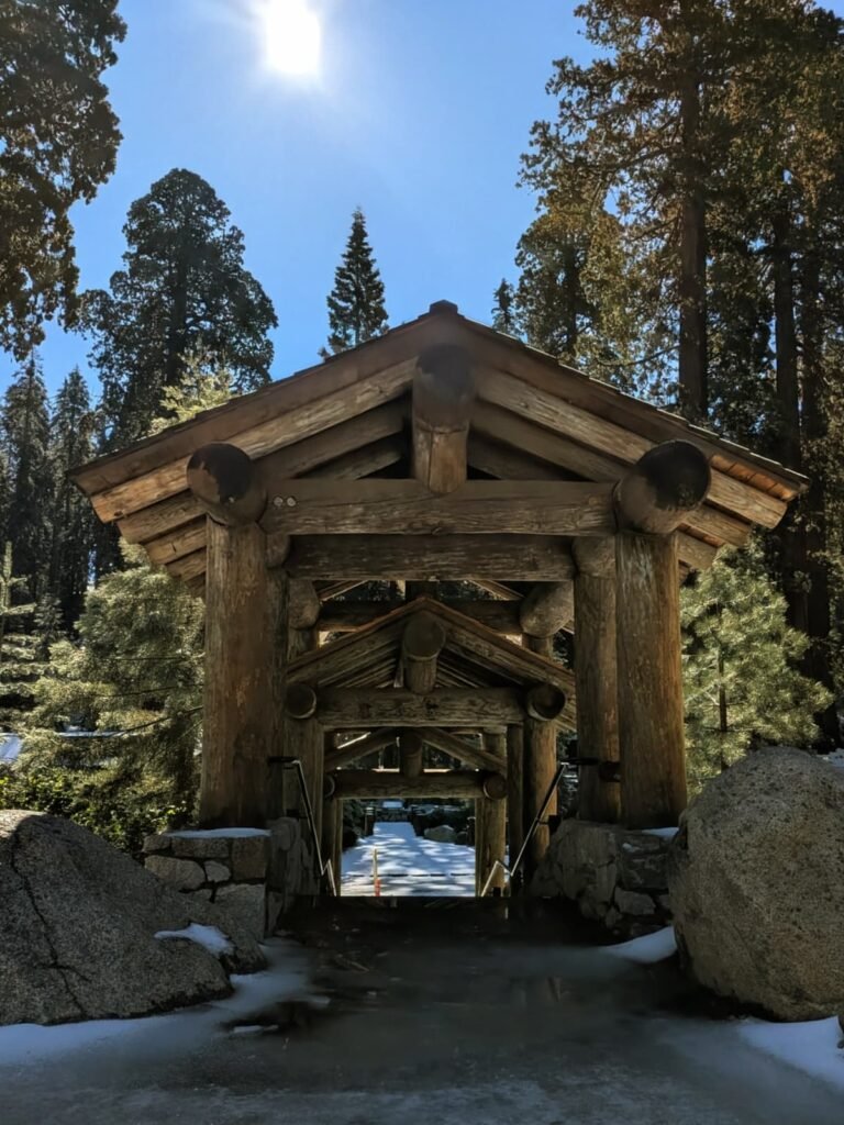 Sequoia National Park whatsapp image 2026 09 20 at 1.34.40 pm