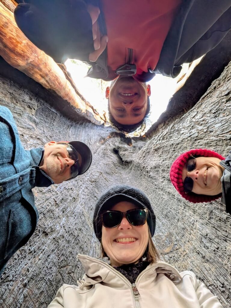 Sequoia National Park whatsapp image 2026 09 20 at 2.29.50 pm