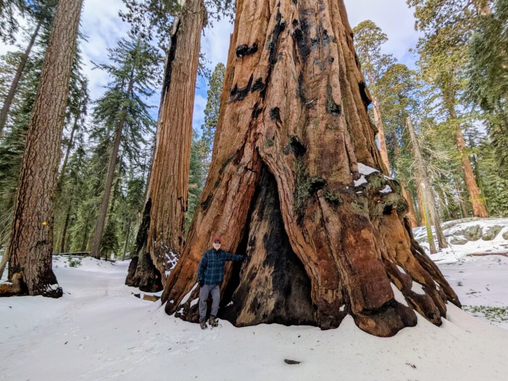 Sequoia National Park whatsapp image 2026 09 20 at 2.39.22 pm