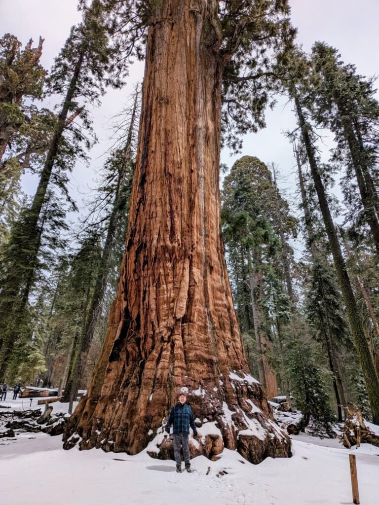 Sequoia National Park whatsapp image 2026 09 20 at 2.57.56 pm