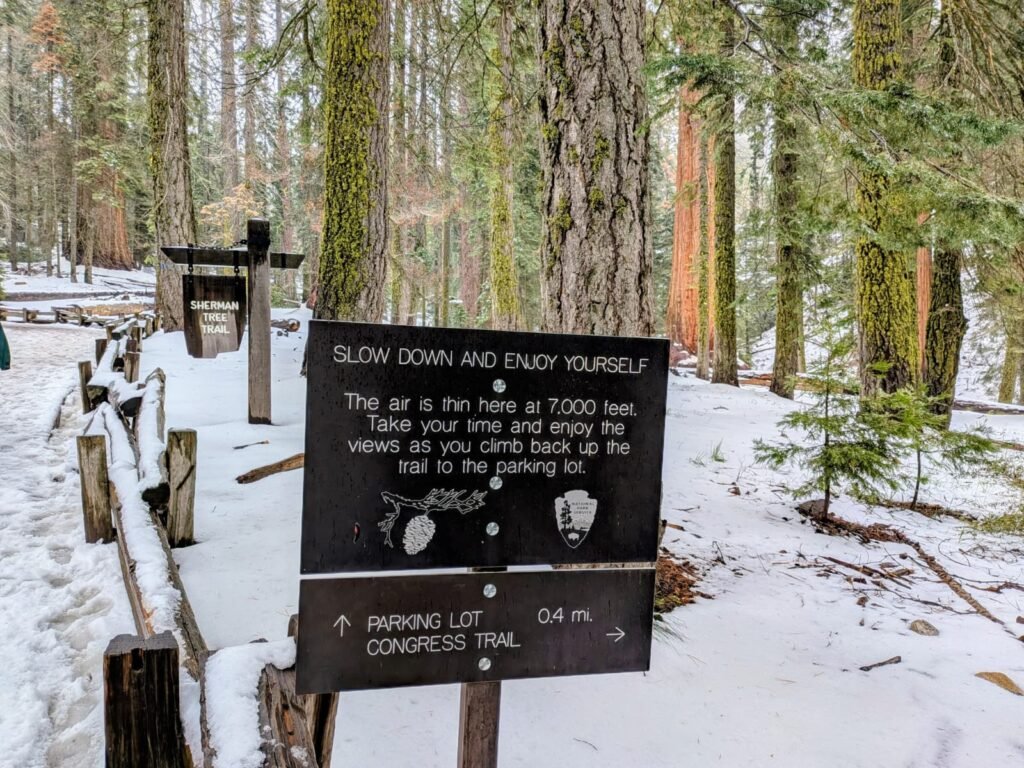 Sequoia National Park whatsapp image 2026 09 20 at 3.19.16 pm