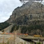 Yoho trains